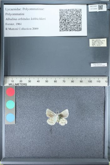Media type: image;   Entomology 154866